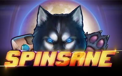 Spinsane Slot